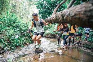 BIB: 
                            <button type="button" onclick="openModal(25373564)" class="btn btn-primary btn-sm float-right btn-popup" data-toggle="modal" data-target=".modal-high-quality">
                        <i class="fas fa-shopping-cart"></i> Add to Cart
                    </button>
                                            <button type="button" onclick="isThisMe(25373564, true)" class="btn btn-success btn-sm float-right btn-popup btn-isme hidden" data-toggle="tooltip" data-placement="bottom" title="นี่คือรูปของคุณใช่ไหม คลิกที่นี่เพื่อเอาเข้าอัลบั้ม">
                        <i class="fas fa-plus"></i> Add to album
                    </button>
                    <button type="button" onclick="isThisMe(25373564, false)" class="btn btn-warning btn-sm float-right btn-popup btn-isnotme hidden">
                        <i class="fas fa-ban"></i> Remove from album
                    </button>